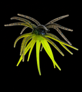 Texas Tumbleweed 20mm- Bluegill Chartreuse (Coffee Scented)