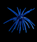 Texas Tumbleweed 20mm- Lonestar Blue