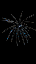 Texas Tumbleweed 20mm- Black & Blue flake