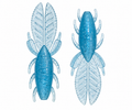 4" ProBug- Cold Shad- 6pk