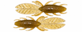 4" ProBug- Texas Pecan- 6pk