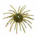 Texas Tumbleweed Dust Bunny 17mm - Watermelon Red